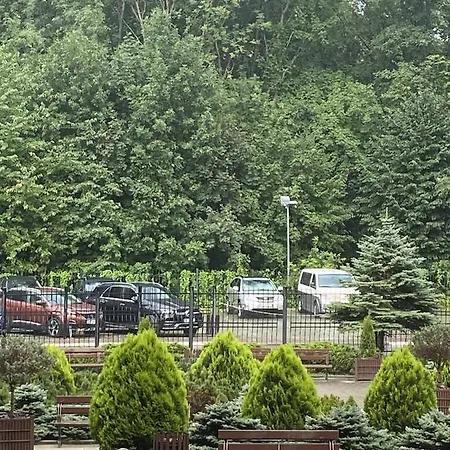 в отеле 