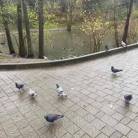 Apartamento в отеле 