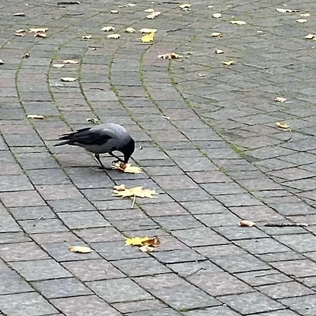 Apartamento в отеле 